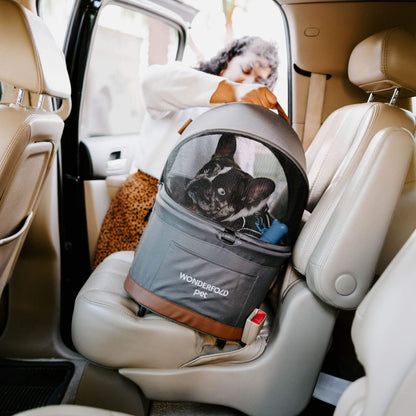 Car_seat_for_dogs