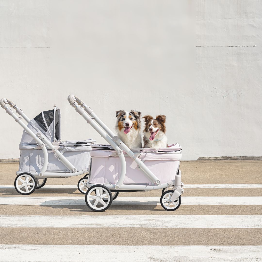 Pronto-PetStroller