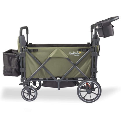 kids_wagon_with_two_seats_and_harness